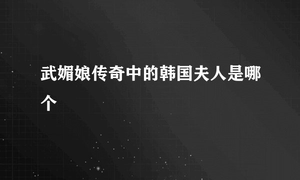 武媚娘传奇中的韩国夫人是哪个