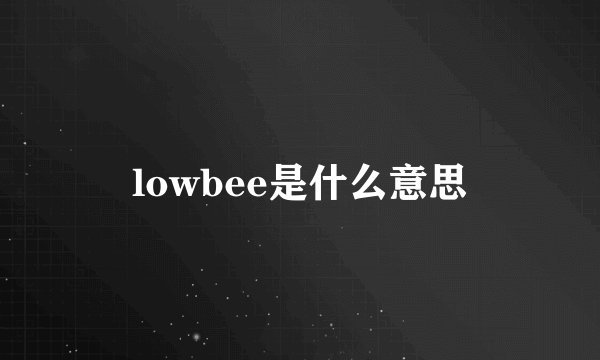 lowbee是什么意思
