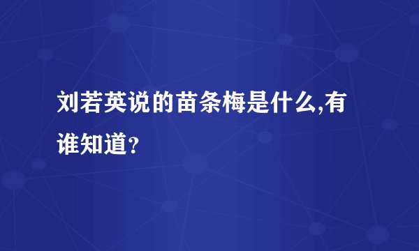 刘若英说的苗条梅是什么,有谁知道？