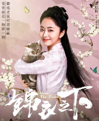 锦衣之下演员表_全部演员介绍