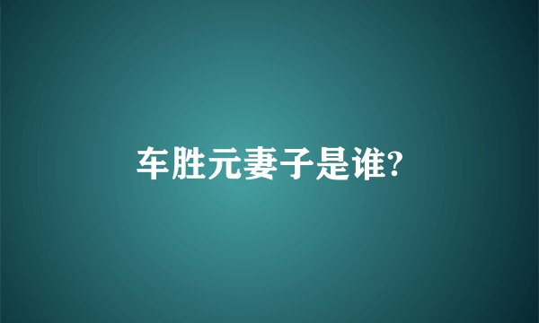 车胜元妻子是谁?