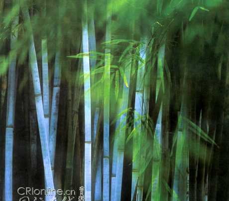 清风小雨文学网的介绍