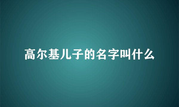 高尔基儿子的名字叫什么