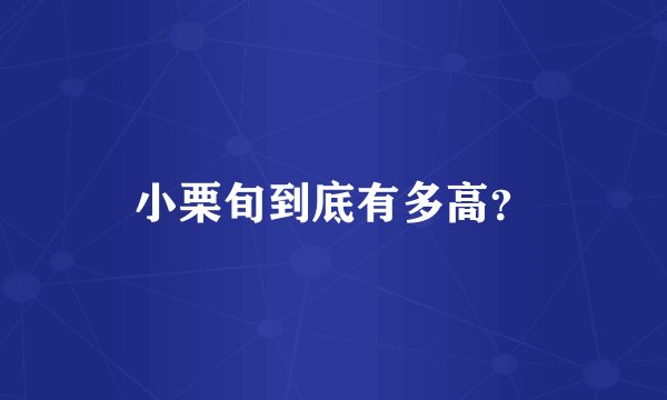 小栗旬到底有多高？