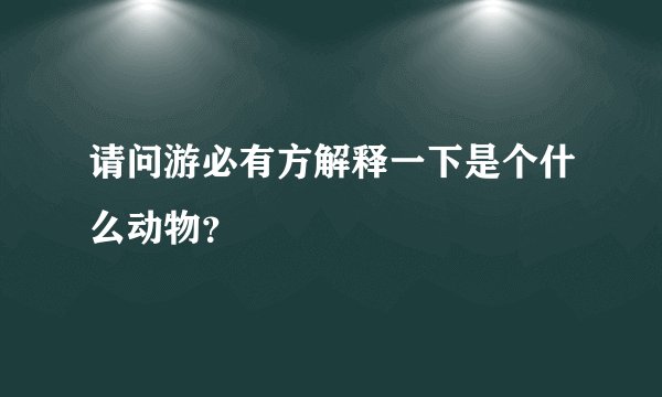 请问游必有方解释一下是个什么动物？