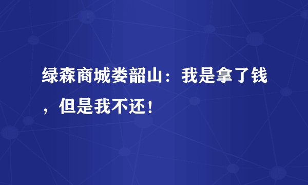 绿森商城娄韶山：我是拿了钱，但是我不还！