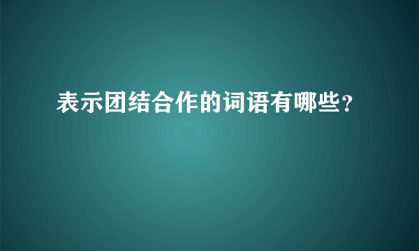 表示团结合作的词语有哪些？