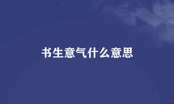 书生意气什么意思