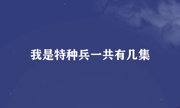 我是特种兵一共有几集