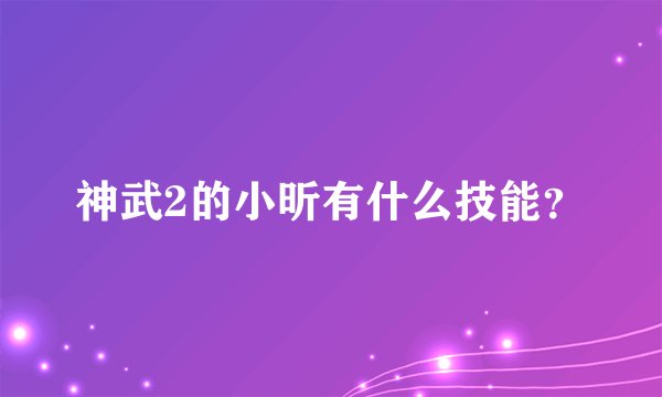 神武2的小昕有什么技能？