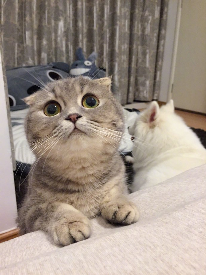 日语三级是什么水平？