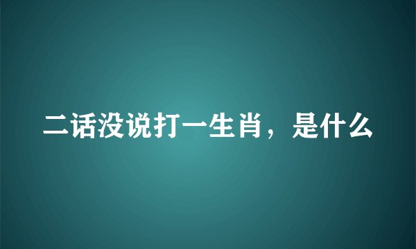 二话没说打一生肖，是什么