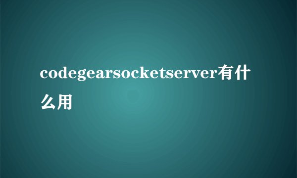 codegearsocketserver有什么用