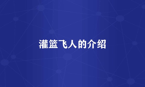 灌篮飞人的介绍