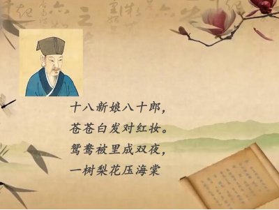 “一树梨花压海棠”什么意思？