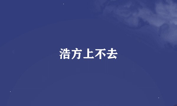 浩方上不去