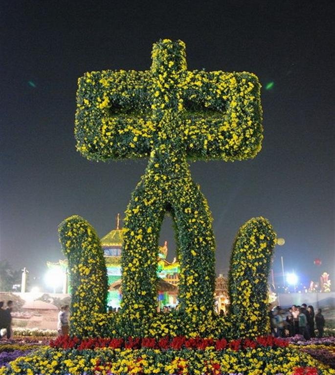 菊城金瓣的介绍