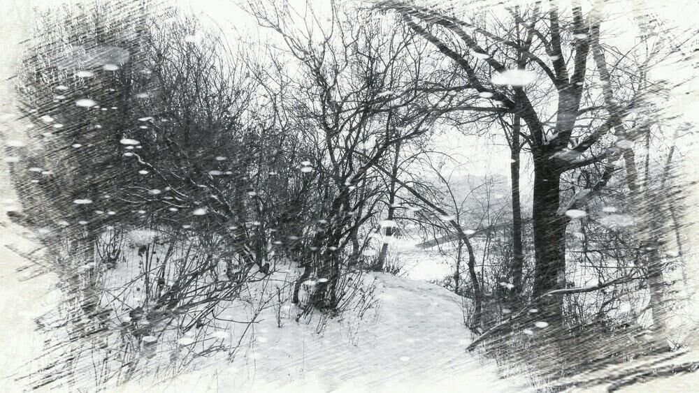 雪花飘飘的拼音