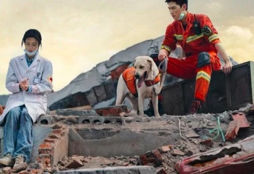 我的人间烟火免费观看什么上映