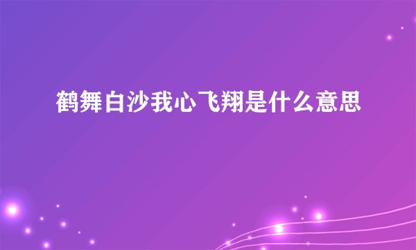 鹤舞白沙我心飞翔是什么意思