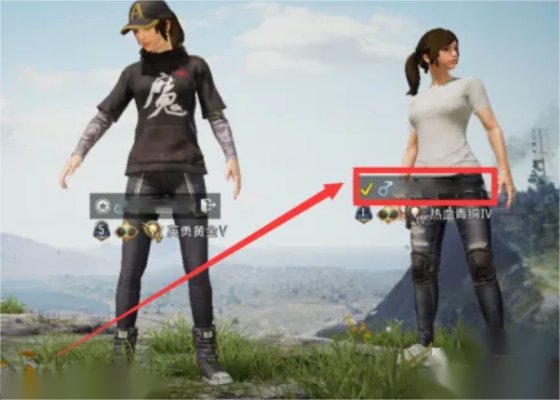 和平精英怎么踢人