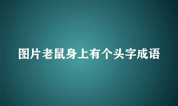 图片老鼠身上有个头字成语