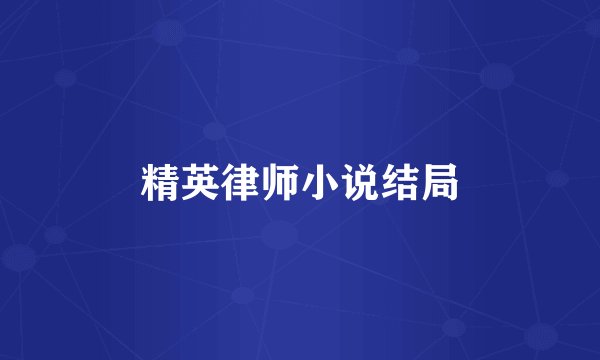 精英律师小说结局
