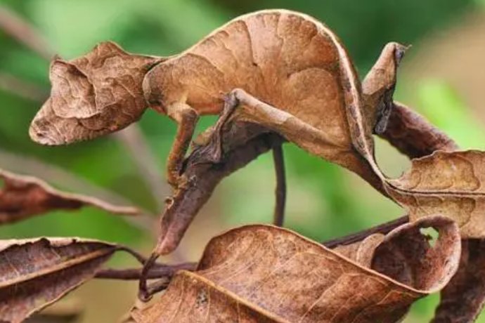 time to pretend翻译