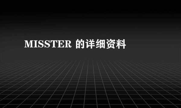 MISSTER 的详细资料