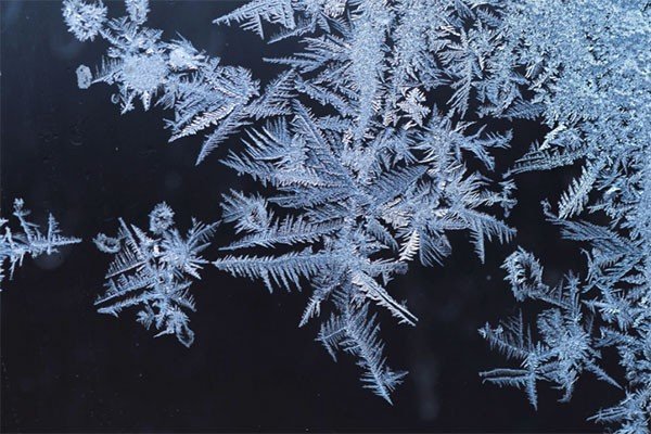 什么的冰花一年级