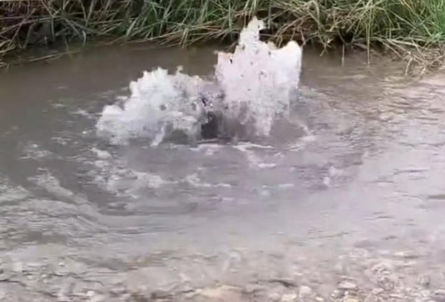 引发关注！宁夏一地突现泉眼，究竟是何原因？