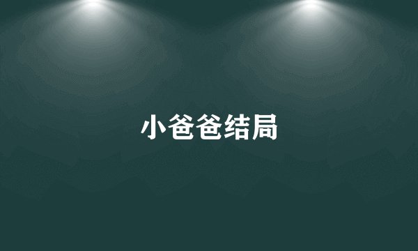 小爸爸结局