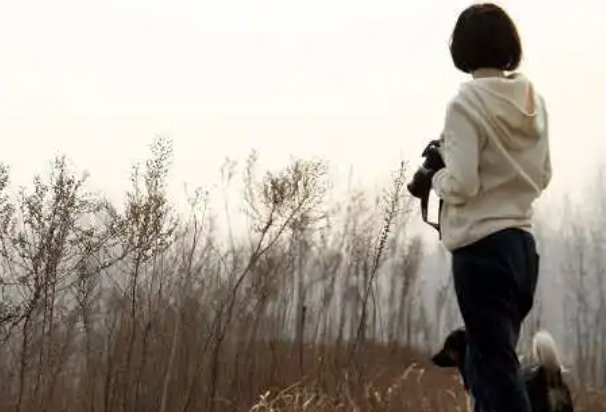 无处告别是什么意思