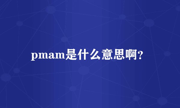 pmam是什么意思啊？