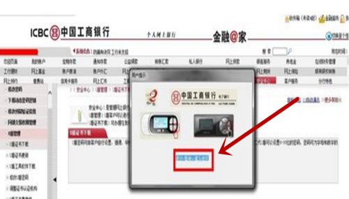 如何在网上使用U盾进行支付？