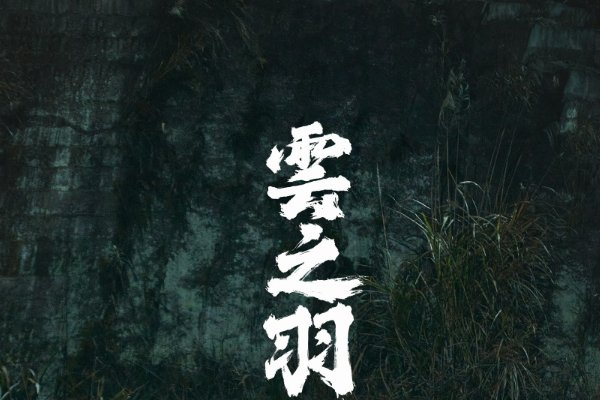 云之羽下架了吗