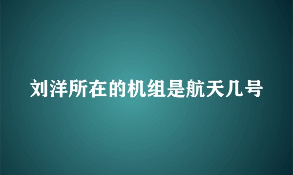 刘洋所在的机组是航天几号