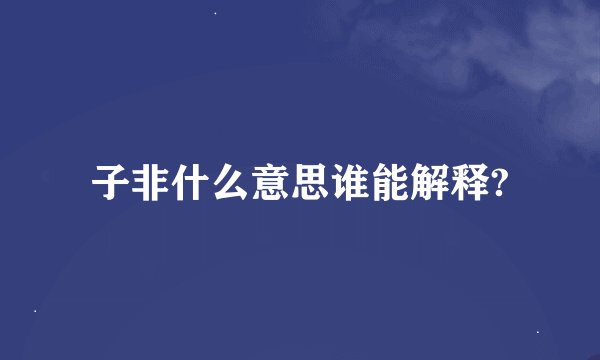 子非什么意思谁能解释?