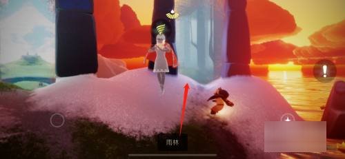 雨林密林遗迹在哪