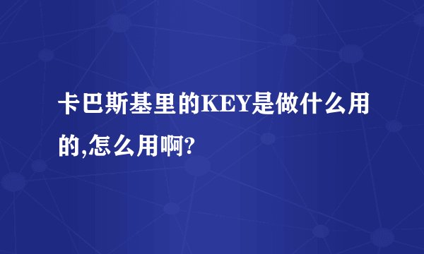 卡巴斯基里的KEY是做什么用的,怎么用啊?