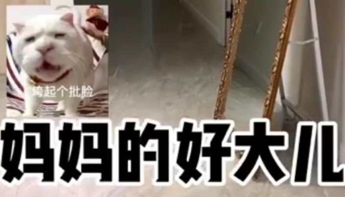 妈的好大儿什么梗?