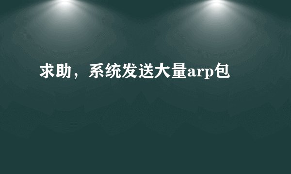 求助，系统发送大量arp包