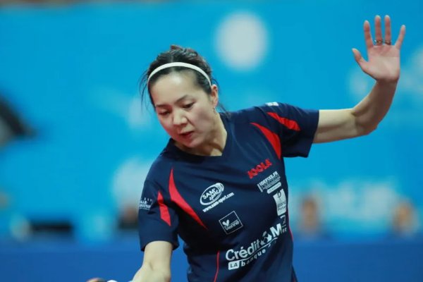 乒乓球运动员袁嘉楠个人资料