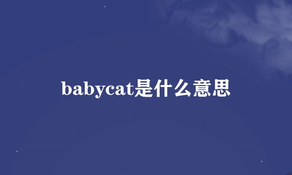 babycat是什么意思