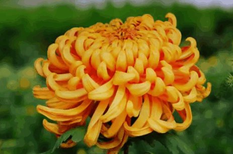 重阳节是几号 重阳节的风俗是什么