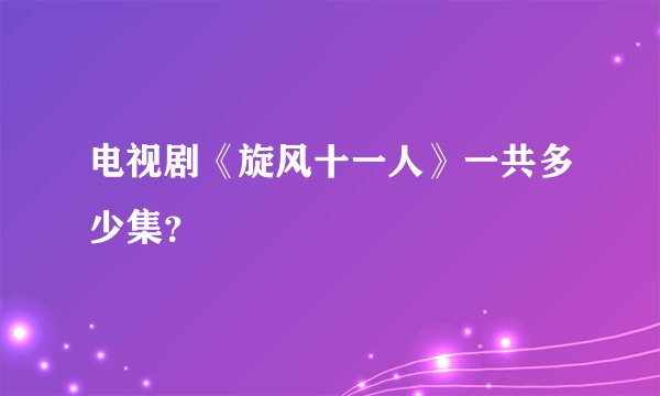 电视剧《旋风十一人》一共多少集？
