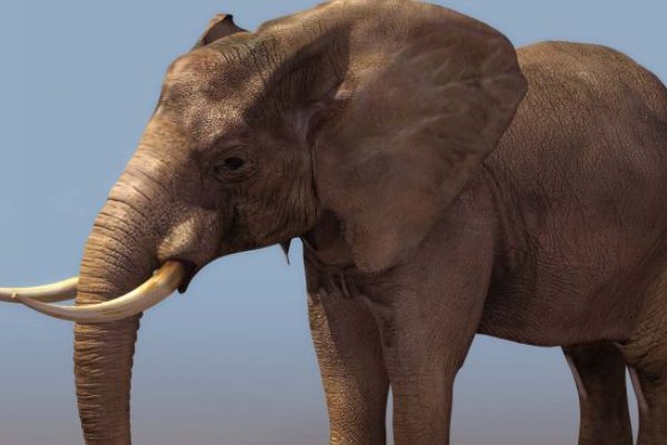 xiang的拼音汉字