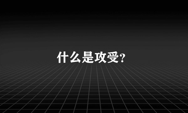 什么是攻受？