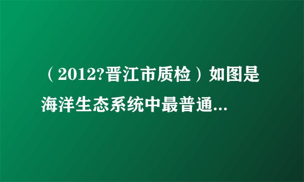 （2012?晋江市质检）如图是海洋生态系统中最普通的能量金字塔．从图中可知，大鱼吃小鱼，小鱼吃虾，虾吃
