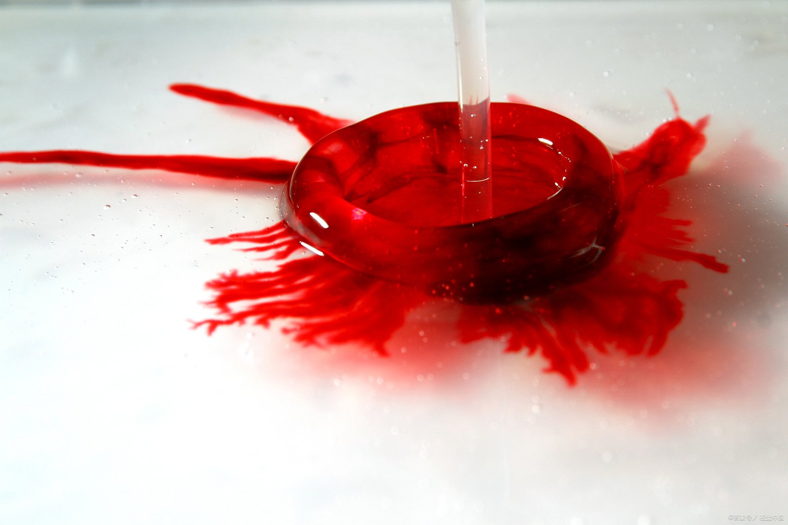 血浓于水是什么意思啊